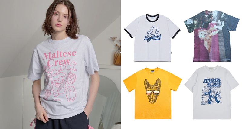 イヌ好き必見！イヌTシャツ特集-eyeCatch