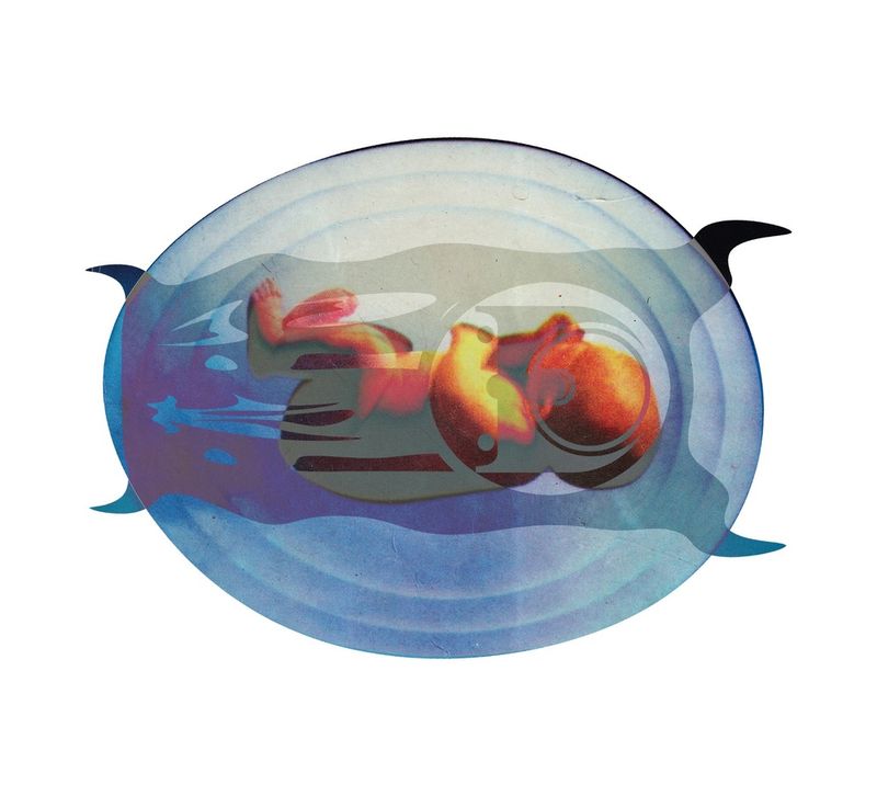 Embryo
