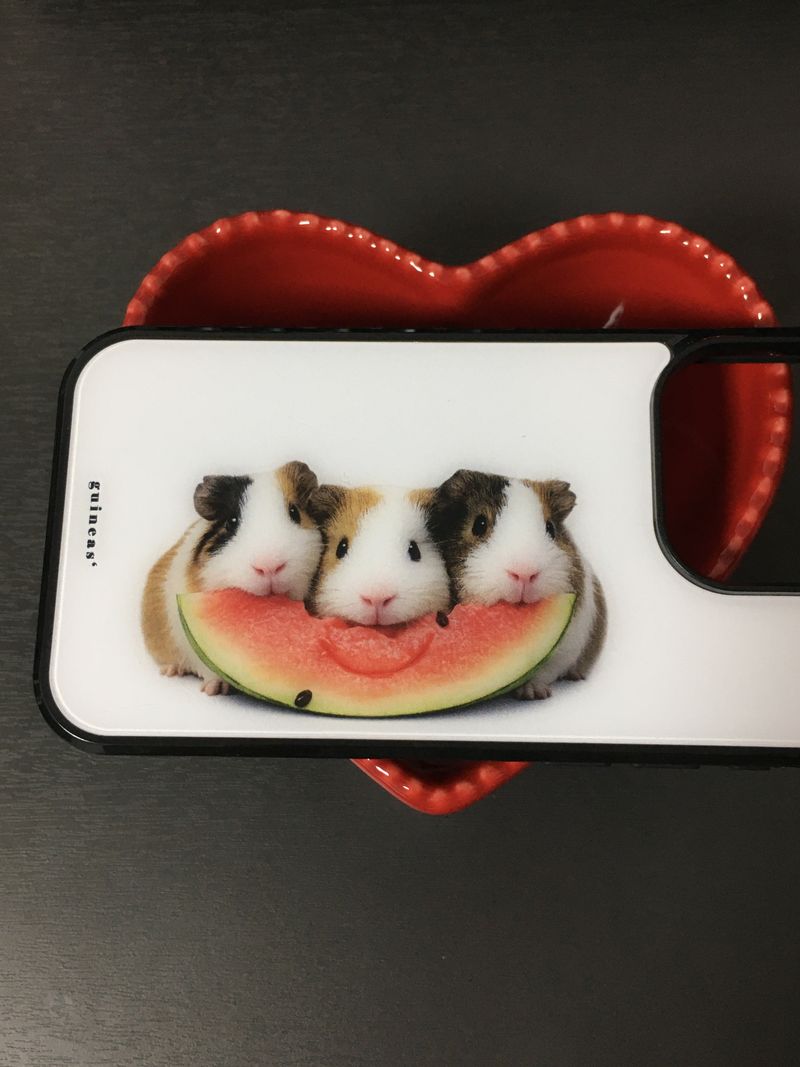 shop.nuee（ショップニュイ）の「ウォーターメロン ギニーピッグ ケース（スマホグッズ/小物）」