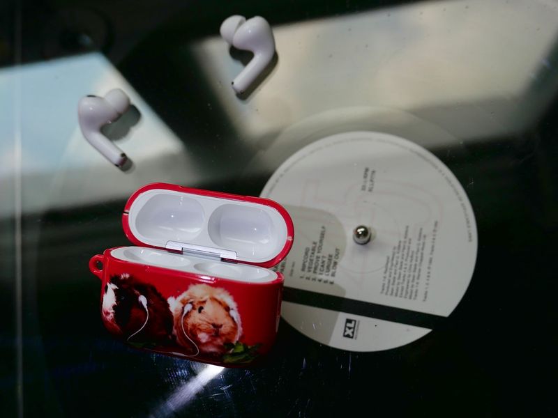 Furry Friends airpods case_Guineapig