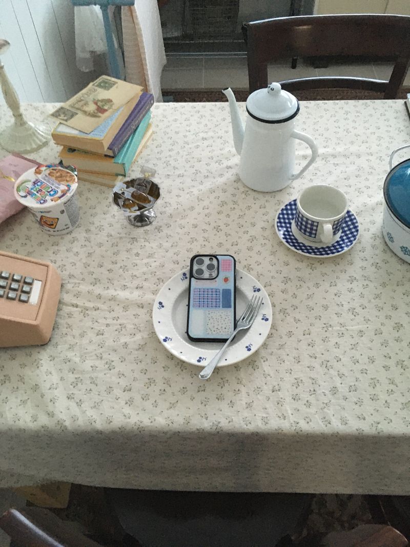 ザレイクグラスバンパーケース