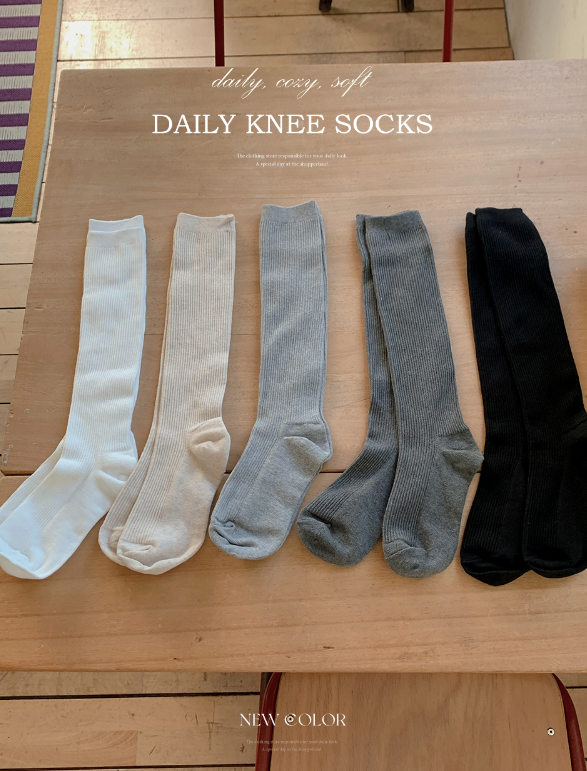 Winter Basic Rib Socks (5color)