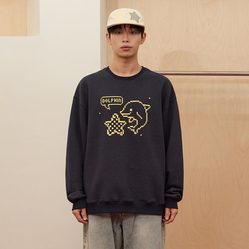 Pixel Star Dolphin Sweatshirt