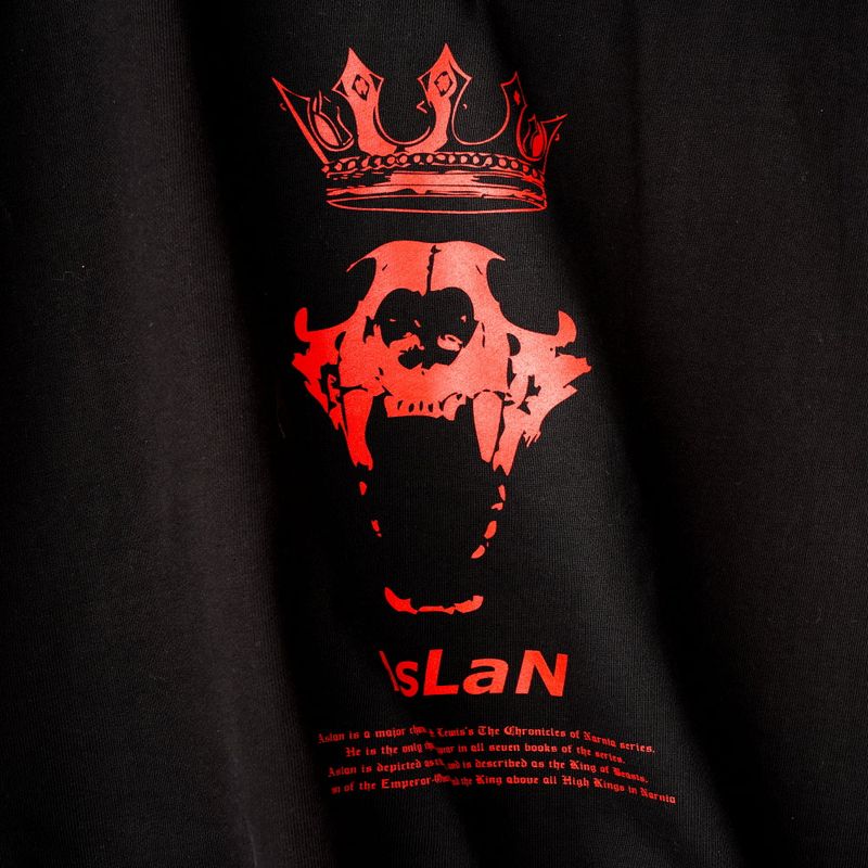 Monarch (wide overfit hoodie)