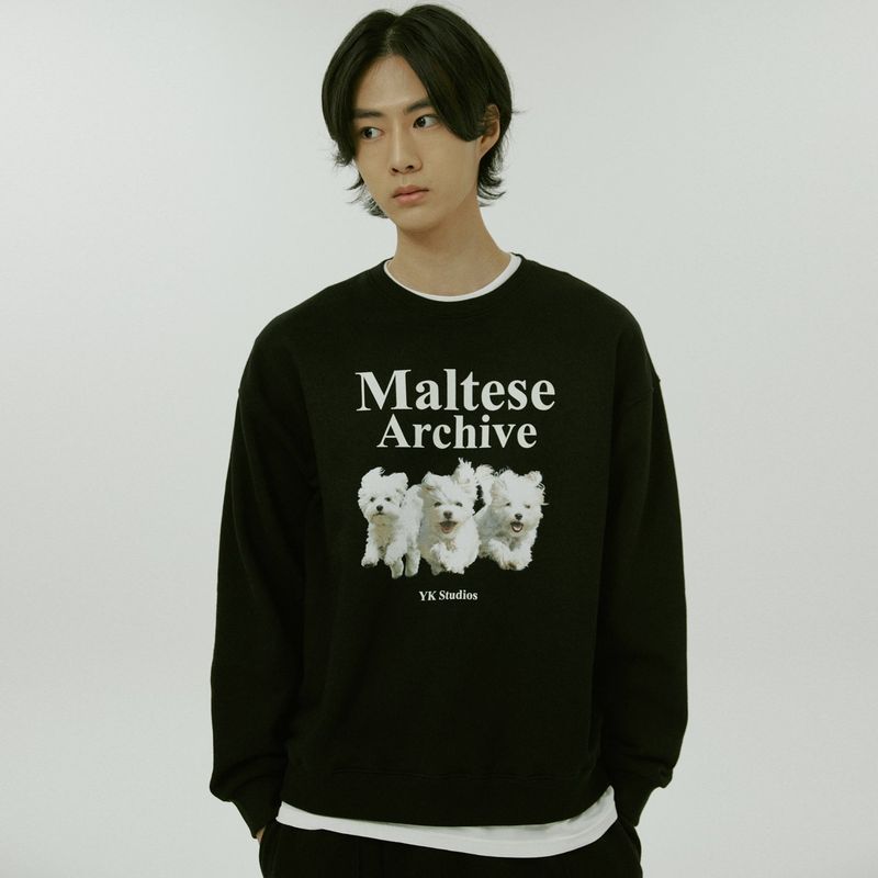 WaiKei(ワイケイ)の「(裏起毛)マルチーズアーカイブスウェットシャツ(トップス)」