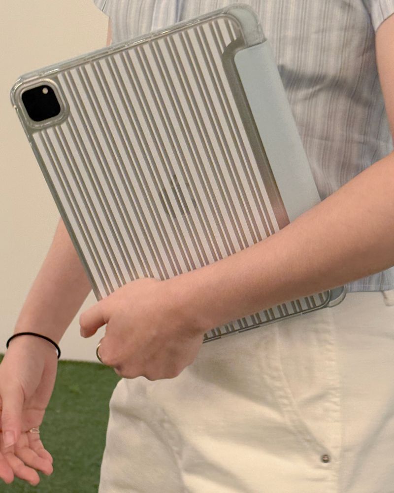 stripe Ipad case