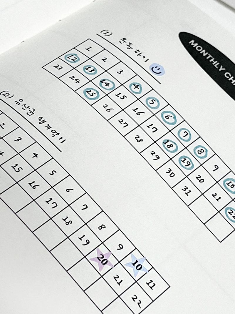 pastel numbering diary point sticker