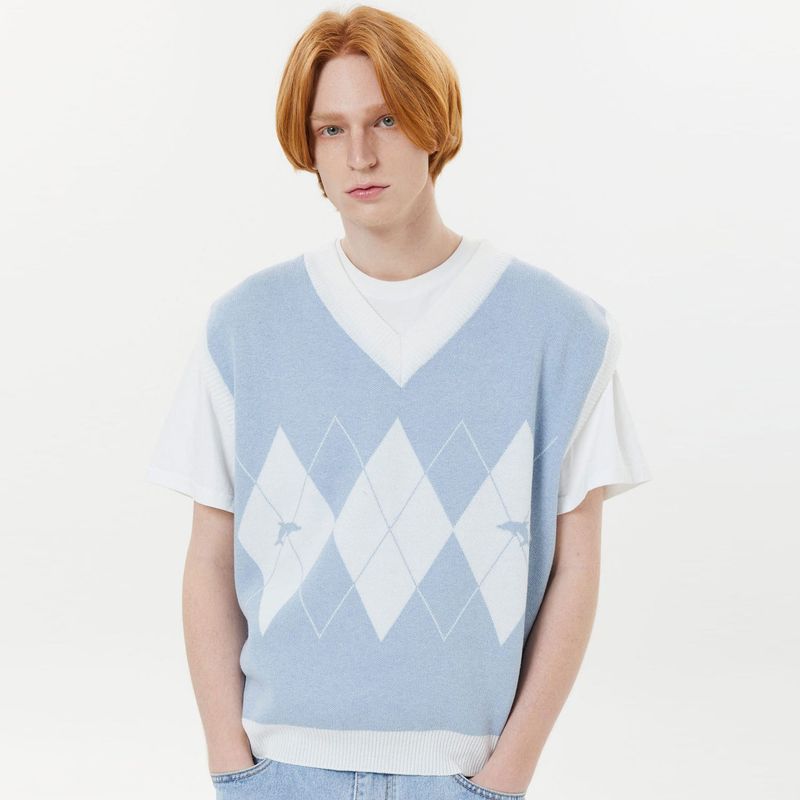 Dolphin argyle vest