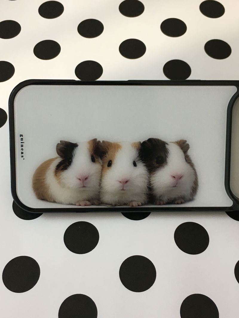shop.nuee（ショップニュイ）の「ギニアピッグ ケース（スマホグッズ/小物）」