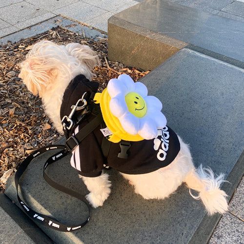 Smile Flower Dog Harness leash Backpack Set