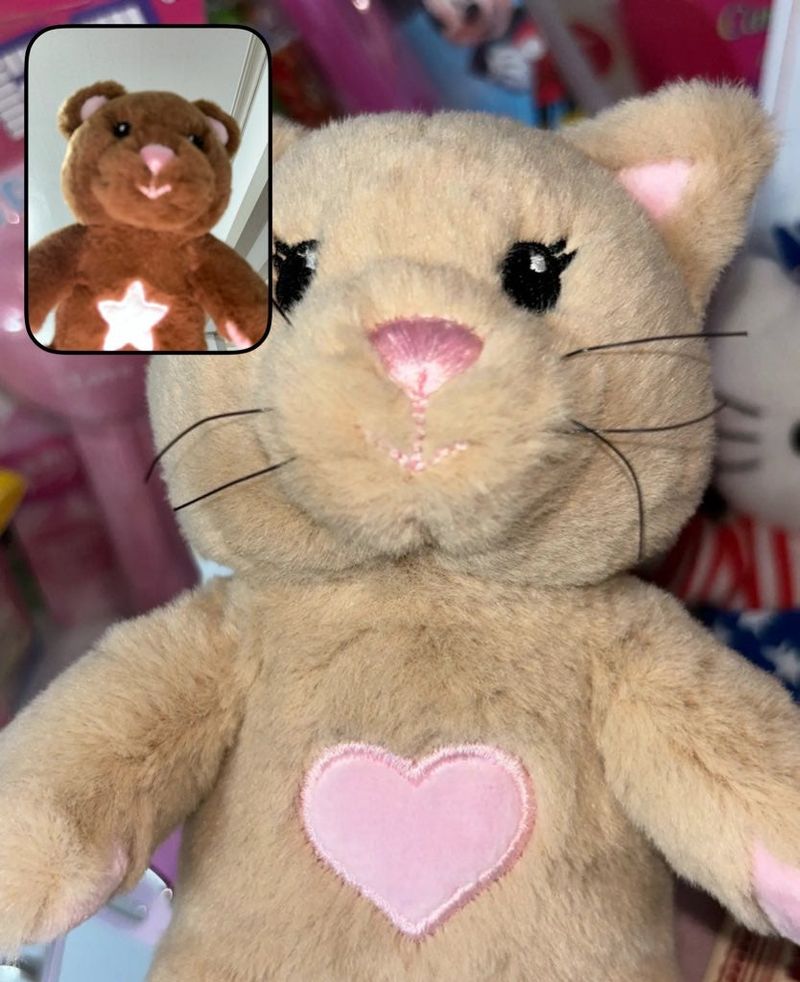 cinnamon the cat
