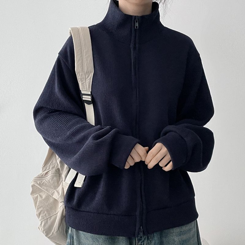 Pursue High-Neck Zip-up (5 colors) H&L