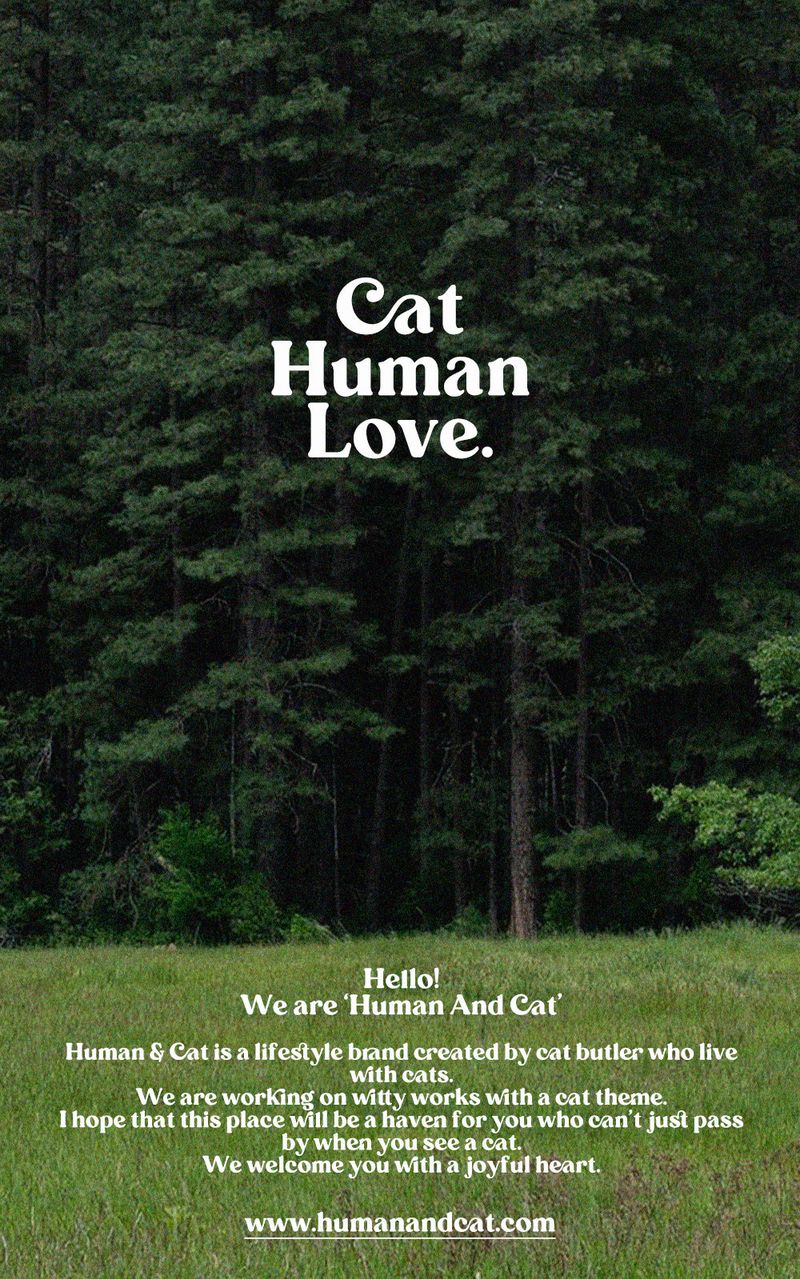 STUPID CAT BALL CAP_GREEN