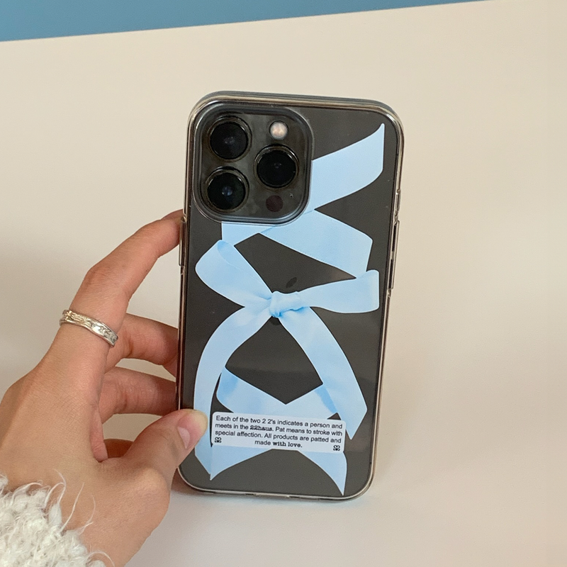 ballet ribbon case - sky blue