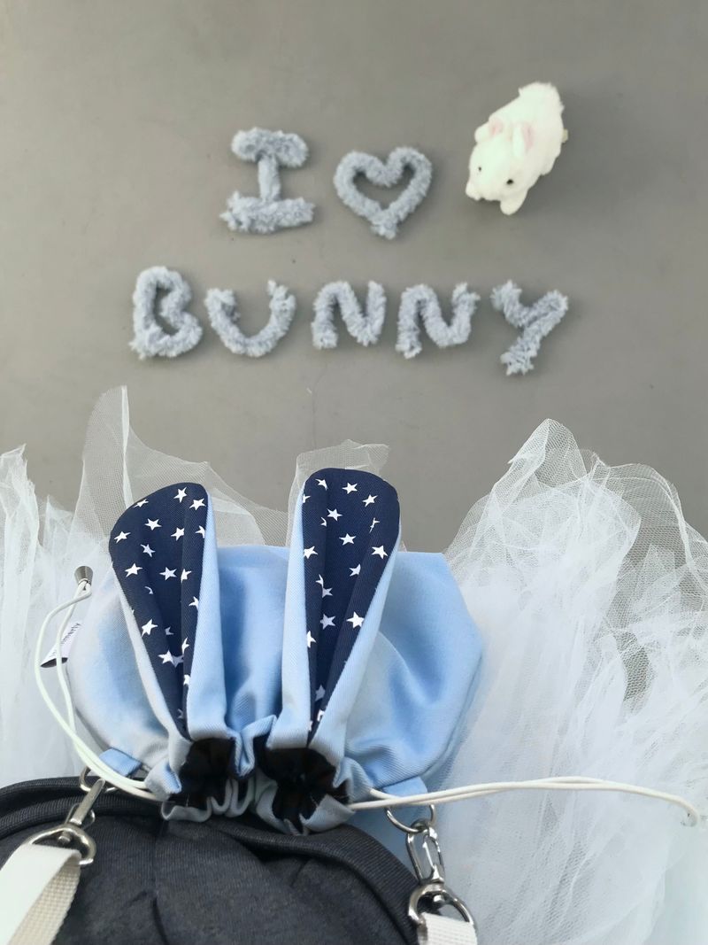 Bunny bag - Blue star