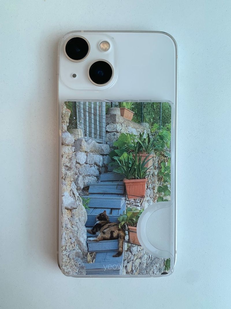 [Magsafe] cat on the steps in Europe cardslot case