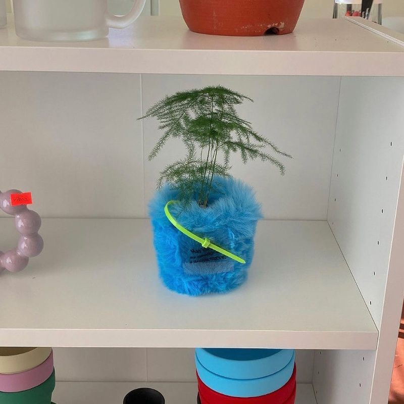 FLUFFY POT (S