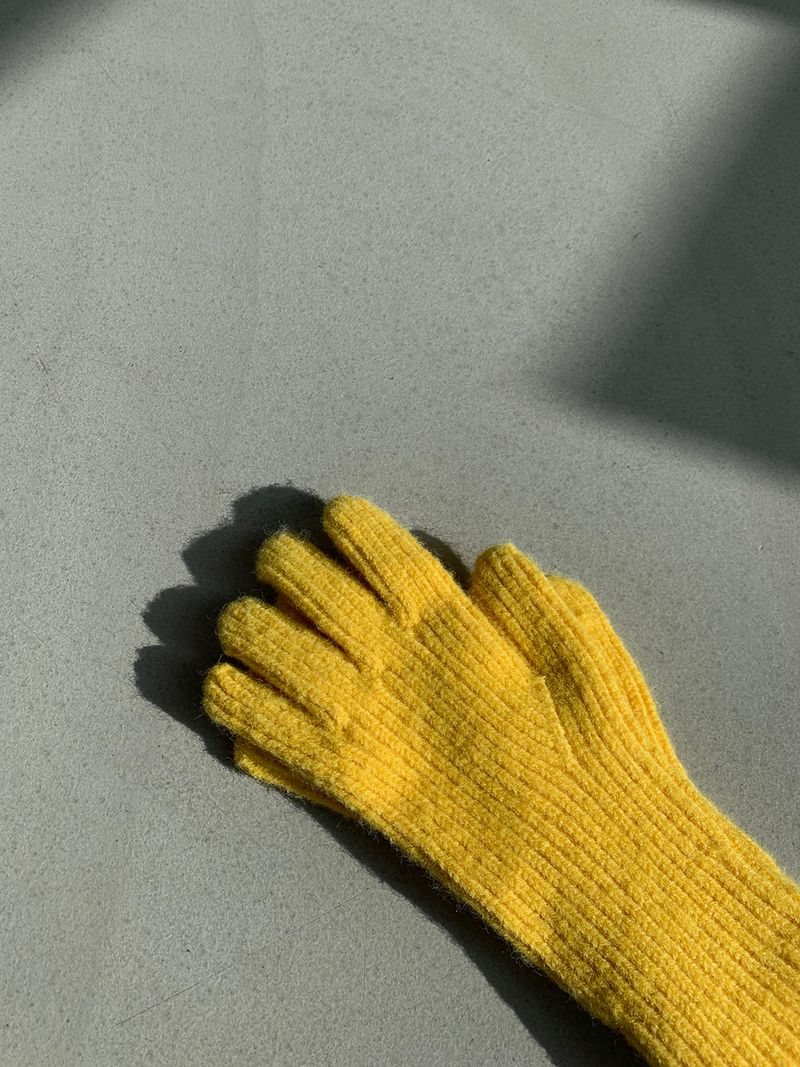 ASCLO Winter Glove (5color)