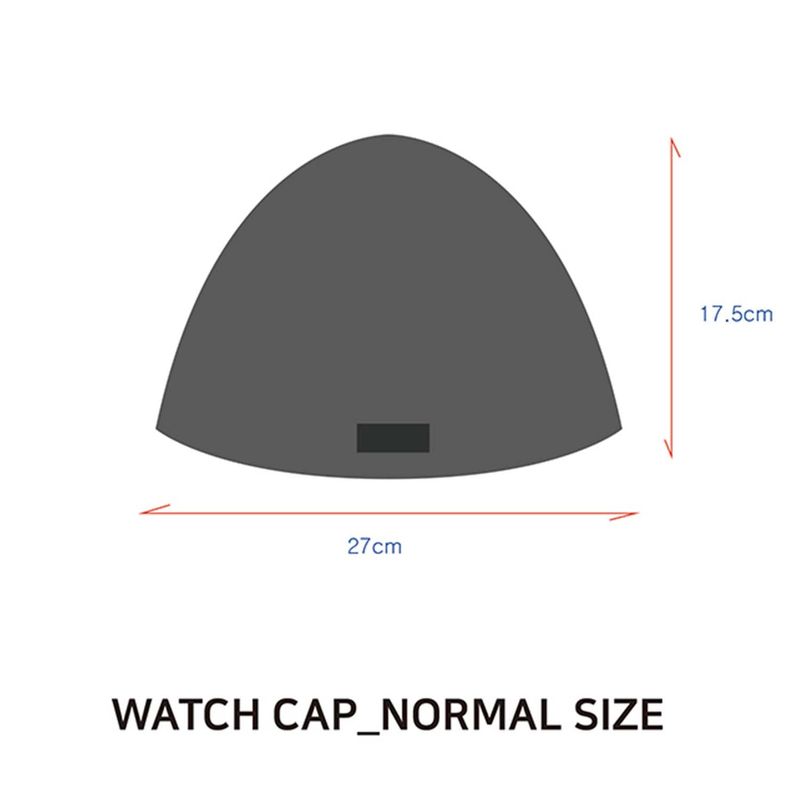 Leather logo watch cap beanie_cold white
