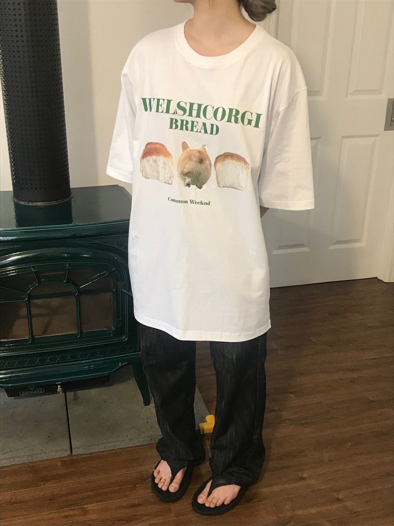 Comfortable corgi T-Shirt