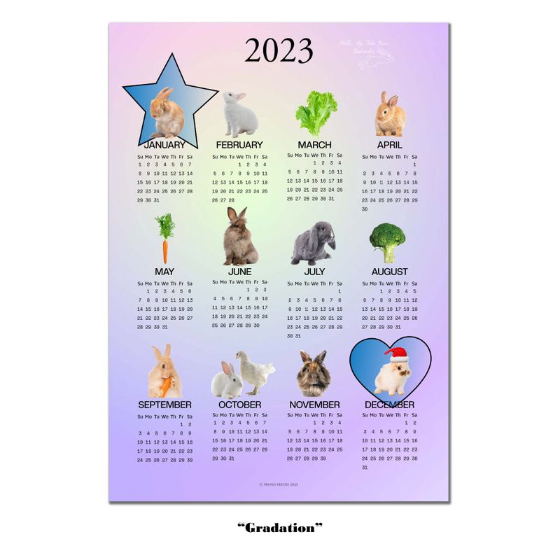 2023 RABBIT CALENDAR POSTER