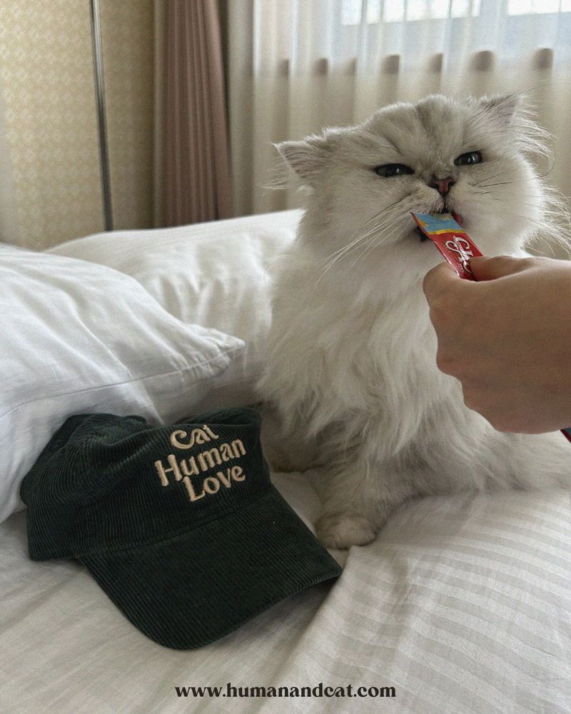 CAT HUMAN LOVE CORDUROY BALL CAP_BEIGE