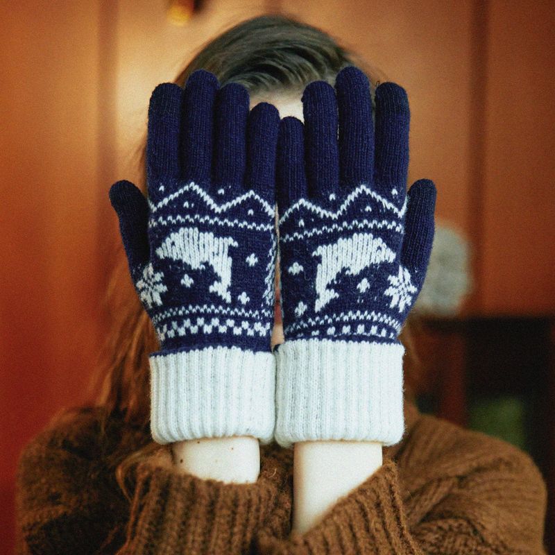 Dolphin nordic knit gloves
