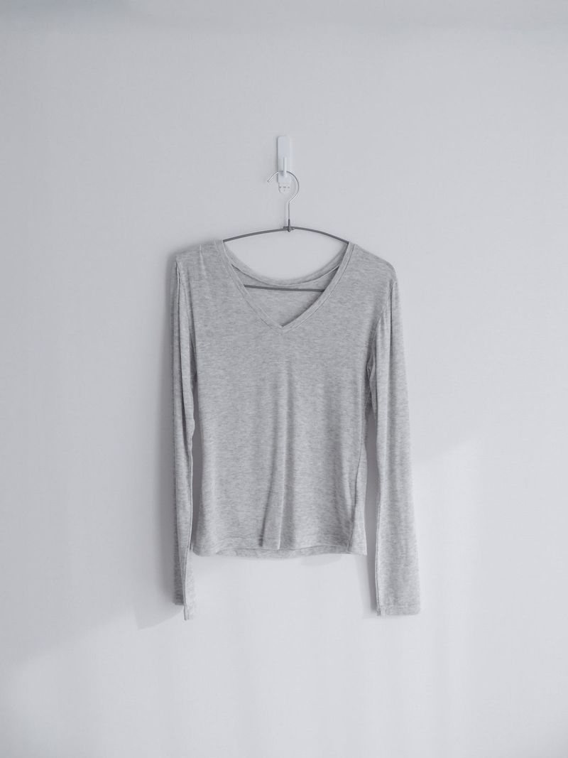 sheer v-neck tee (4c)