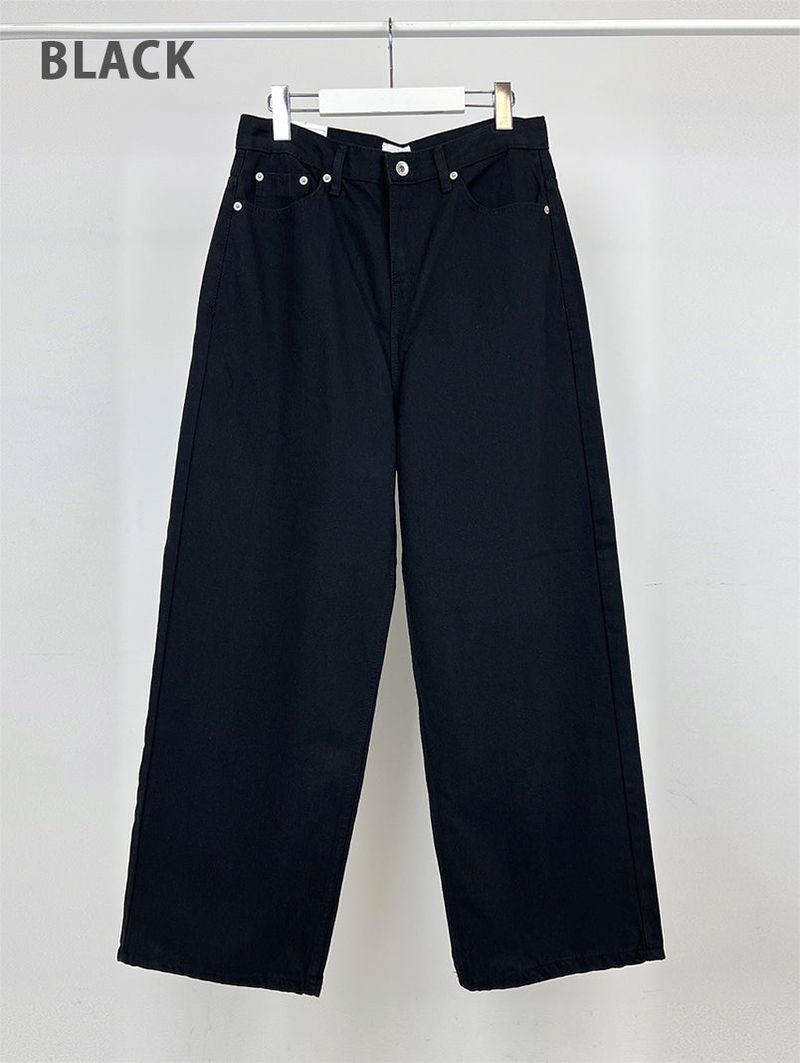 BASIC WIDE PANTS (5C)
