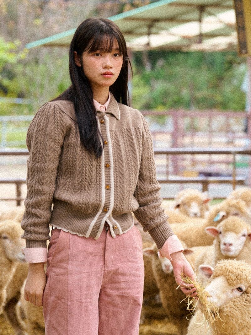Wavy Collar Cable Merino Cardigan (Brown)