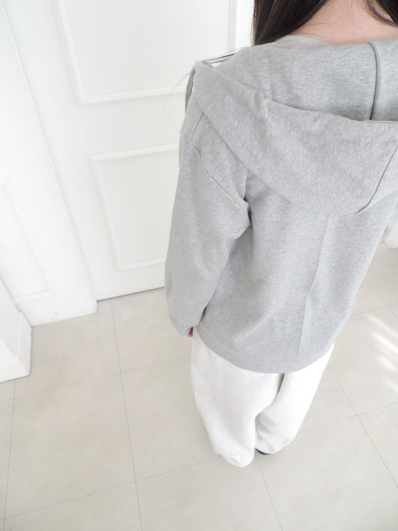 regular hood zip-up (4c)