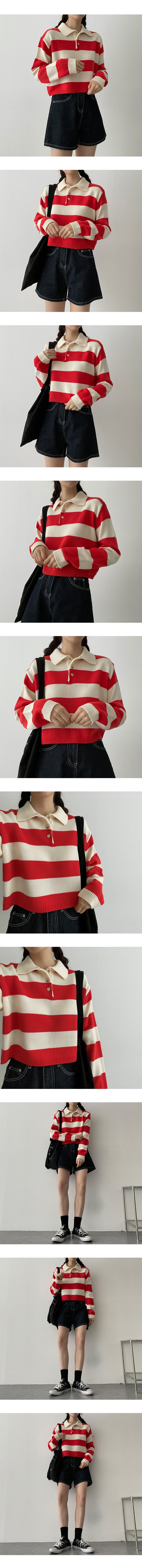 Color stripe button collar knitwear