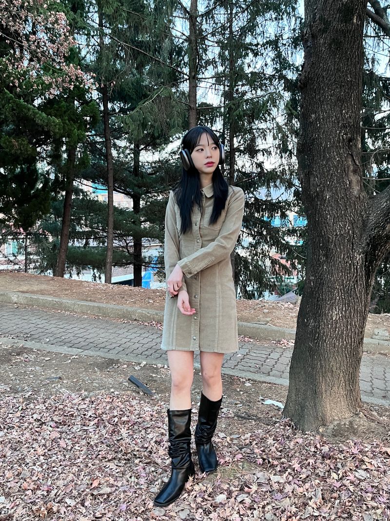 Western collar mini dress