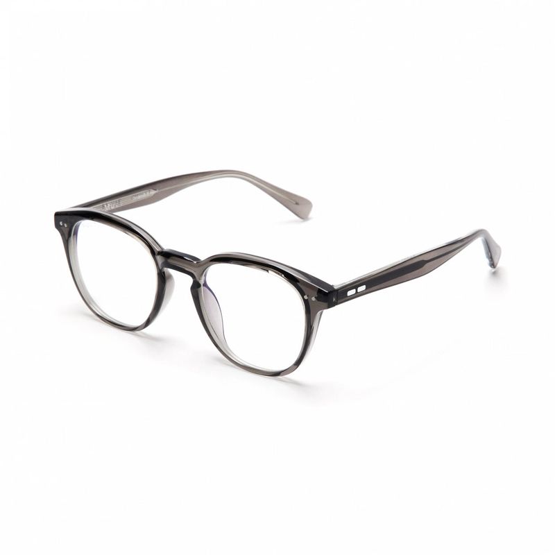 Horn-Trimmed Transparent Glasses Y.LAB 07 C02