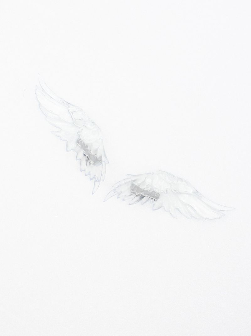 ANGEL WING HAIR CLIP