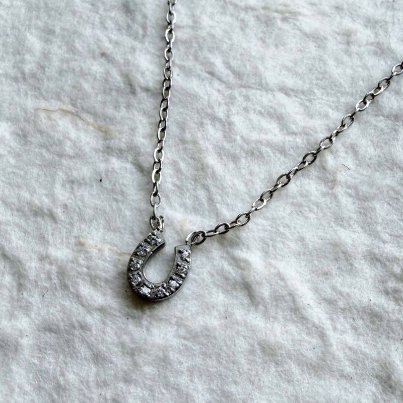 Silver Charm Horseshoe Necklace