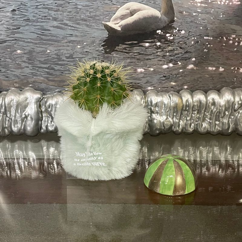 FLUFFY POT (XS