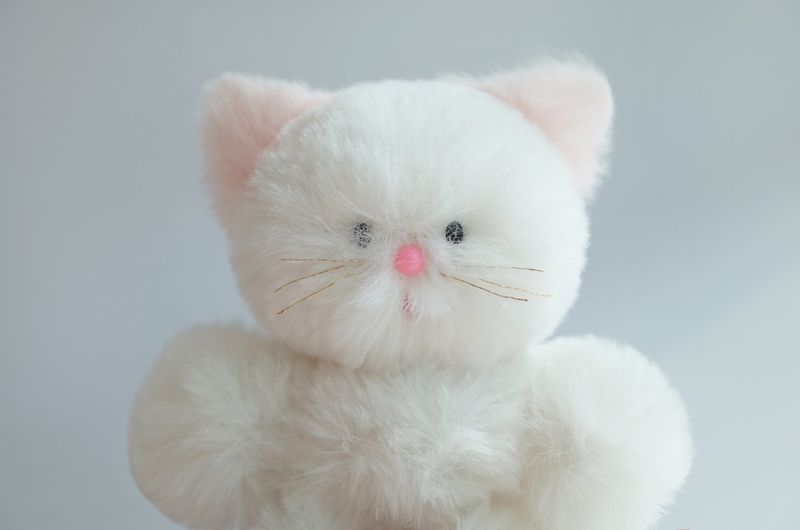 RRPP（リリピピ）の「cotton candy cat keyring（Toys/Key Holders）」