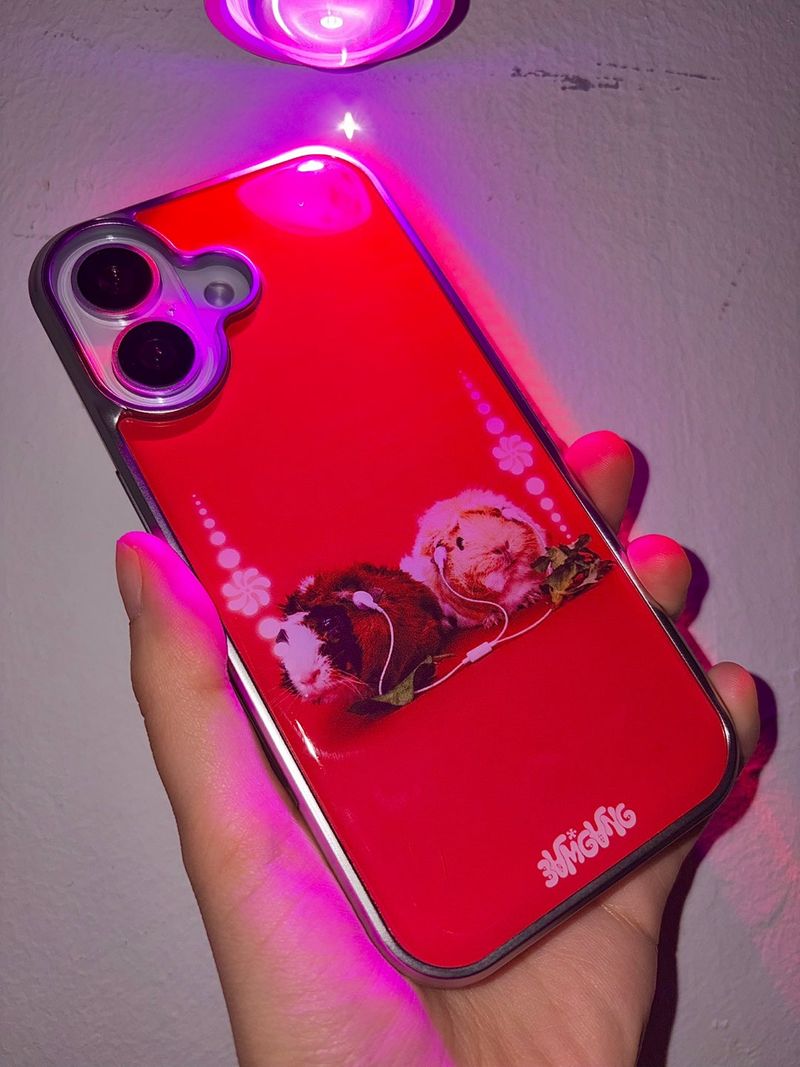 Furry Friends airpods case_Guineapig