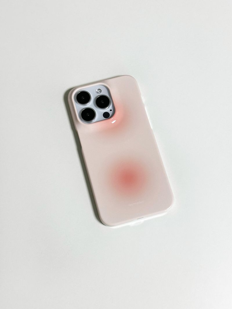 dust hard case-apple