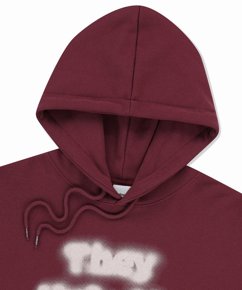 AIN’T US BLUR HOODIE
