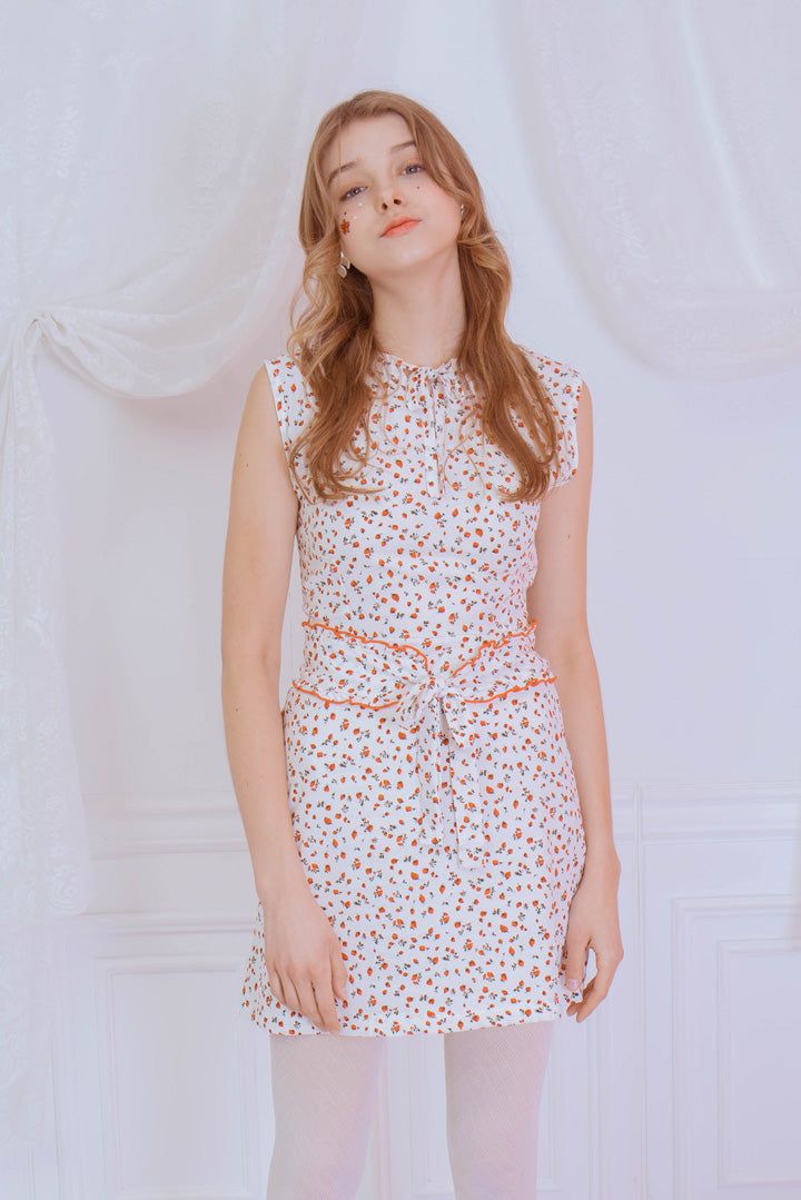 raspberry onepiece
