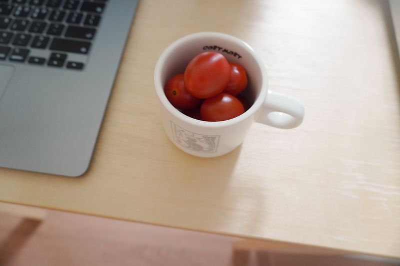 Cosy Stitch Mug - Cat