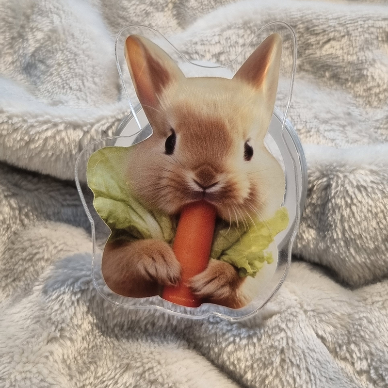 Carrot Rabbit smart tok(sticker type)