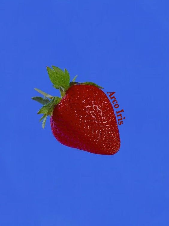 Berry berry bucket hat