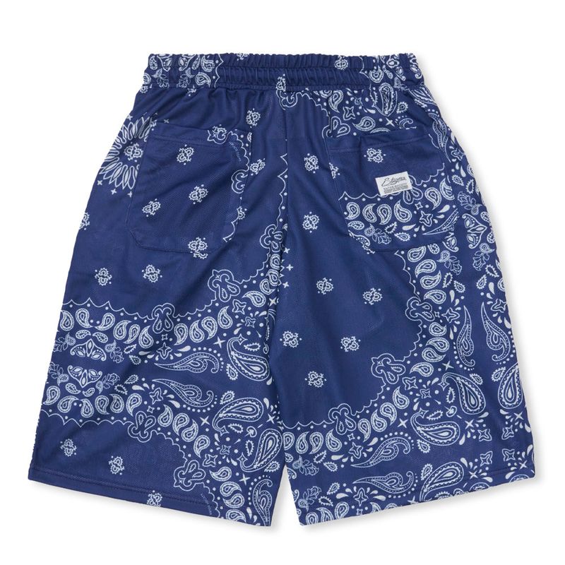 Mesh Wide Bermuda Pants Paisley