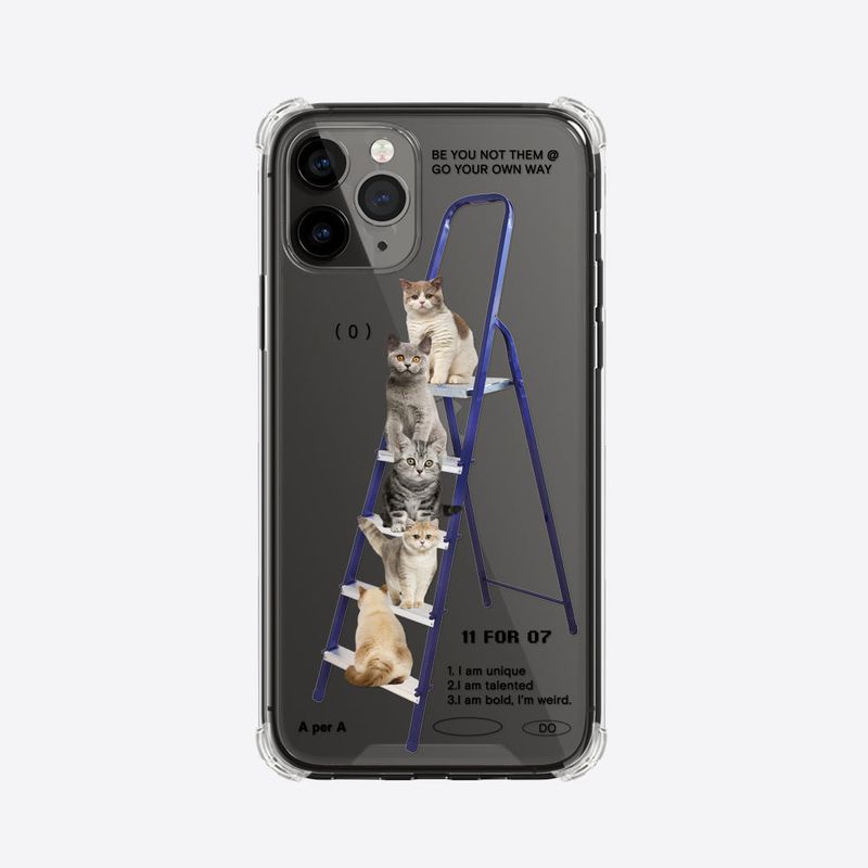 blue Ladder Cat Club