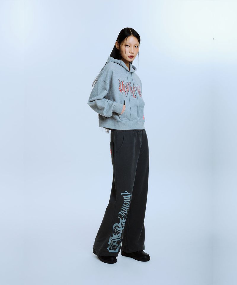 UNDEFEATED CROP HOOD (GRAY)