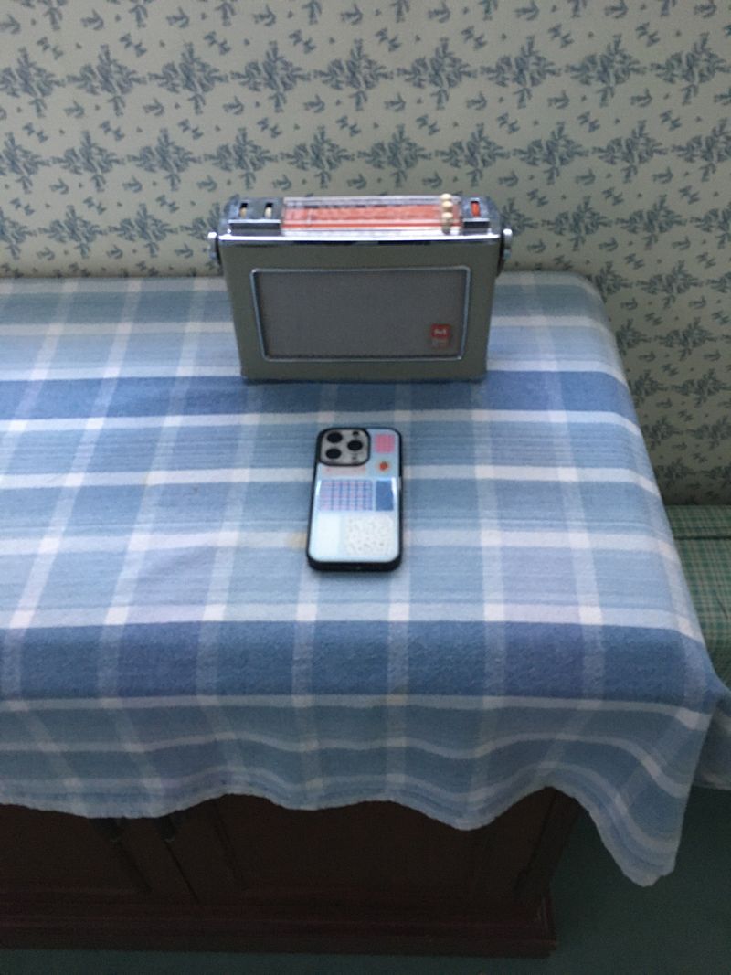 ザレイクグラスバンパーケース
