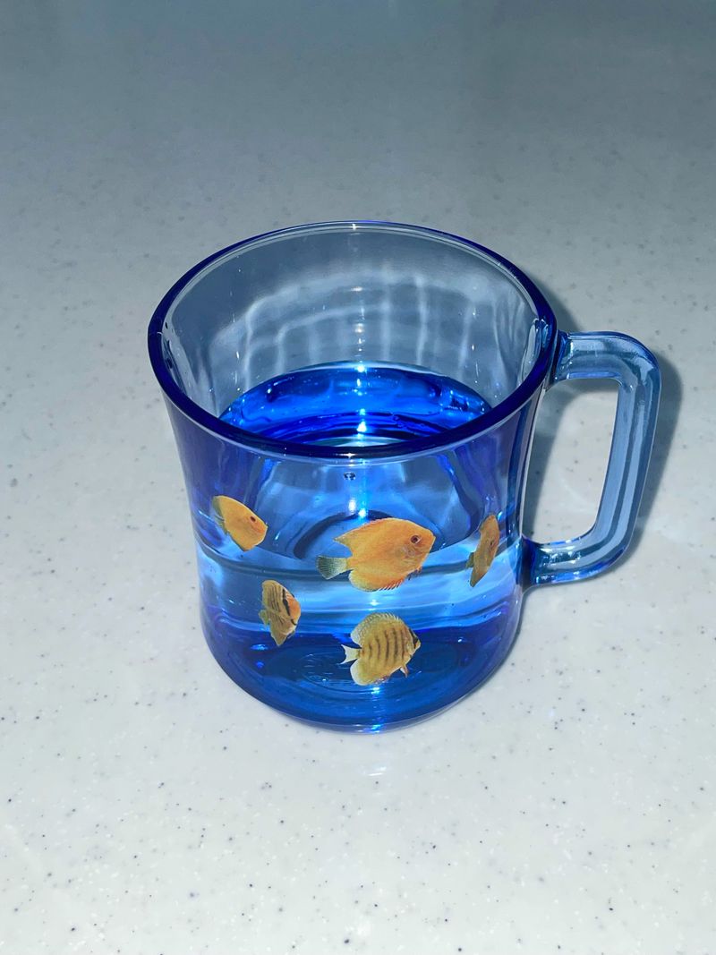 fish cup(yellow)
